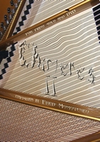 Chimeres II